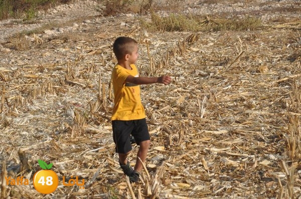 7amam lud monir 908 (11).JPG